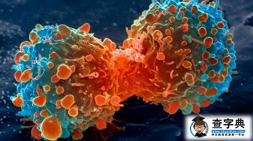 科学家探明肺癌细胞耐药机制 有望研发新型治疗药