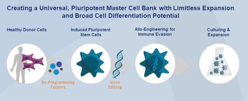 editas达成研发协议,crispr联手干细胞技术开发新一代细胞疗法_生物